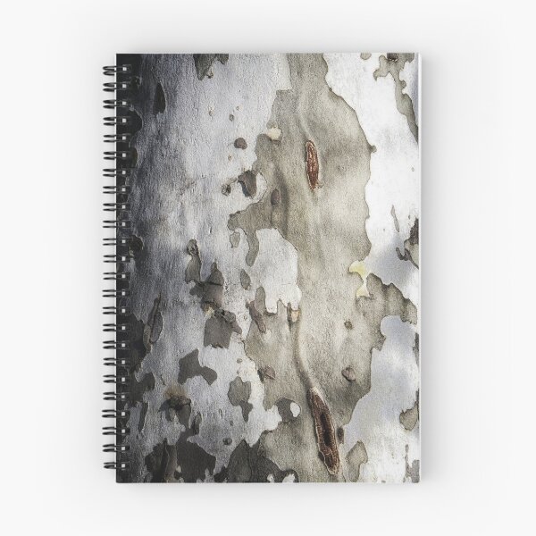 Item preview, Beautiful Birch Tree Background designed and sold by Stephen Orsillo.
