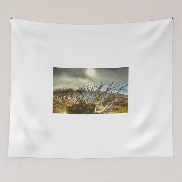 Item preview, Burnt snowgum and regrowth designed and sold by Kevin McGennan.