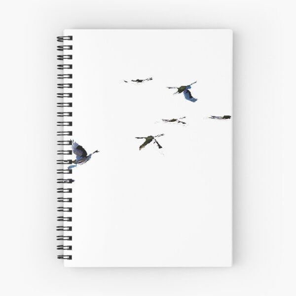 Item preview, Zhalong Red-crowned Crane in Heilongjiang Province: Red-crowned crane, the legendary "Crane" in my country designed and sold by zenger2021.