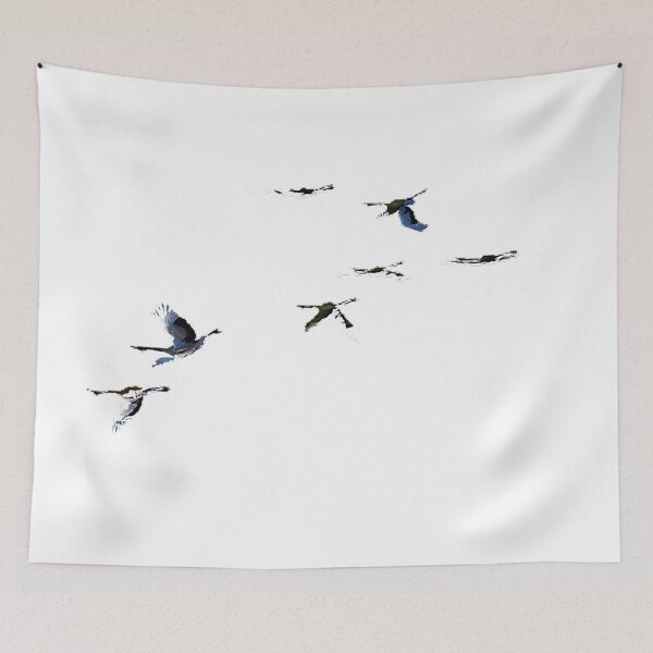 Item preview, Zhalong Red-crowned Crane in Heilongjiang Province: Red-crowned crane, the legendary "Crane" in my country designed and sold by zenger2021.