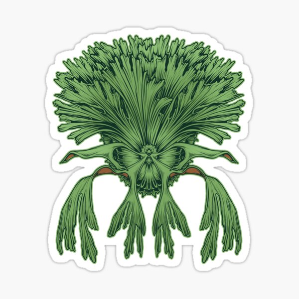 Giant Staghorn Fern Illustration Platycerium Wandae Sticker For Sale By Farhanfatich Redbubble
