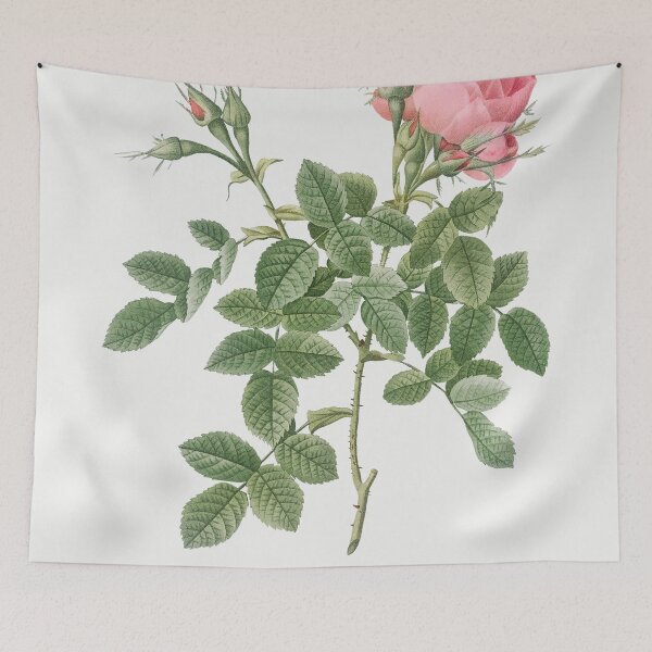 Item preview, Les Roses by Pierre-Joseph Redouté designed and sold by EsotericBotanic.