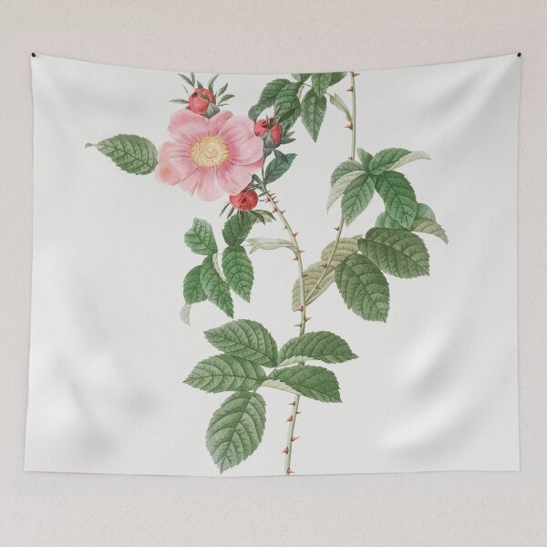 Item preview, Les Roses by Pierre-Joseph Redouté designed and sold by EsotericBotanic.