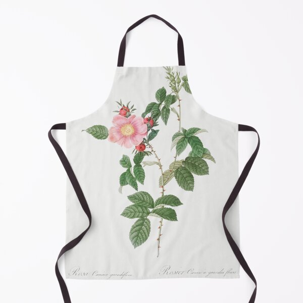 Item preview, Les Roses by Pierre-Joseph Redouté designed and sold by EsotericBotanic.