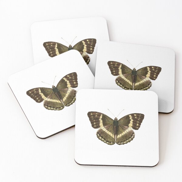 Item preview, umi butterfly designed and sold by PRANEETHDIGIART.