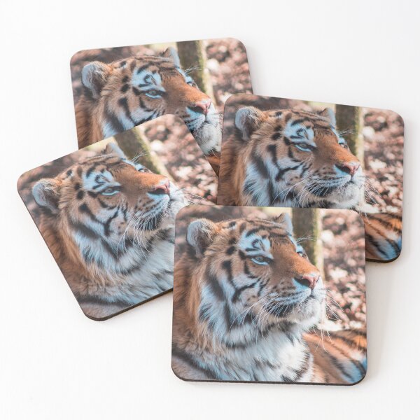 Item preview, Siberian Tiger at the Zoo designed and sold by Michael Deemer.