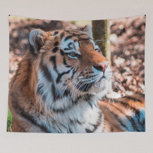 Item preview, Siberian Tiger at the Zoo designed and sold by Michael Deemer.