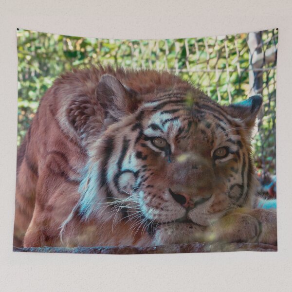Item preview, Tiger lounging on a summer day designed and sold by Michael Deemer.