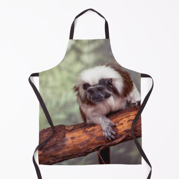 Item preview, Cotton-top tamarin climbing at the zoo designed and sold by Michael Deemer.