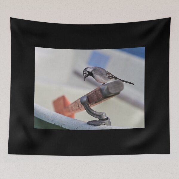Item preview, Studying is learning. White wagtail designed and sold by Jouko Lehto Photography.