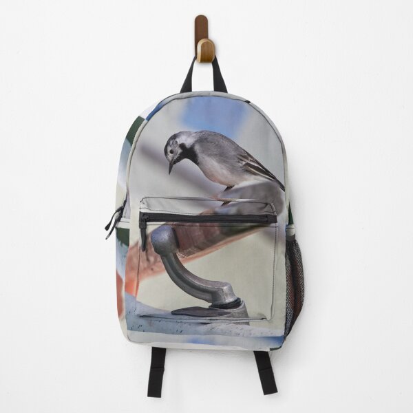 Item preview, Studying is learning. White wagtail designed and sold by Jouko Lehto Photography.