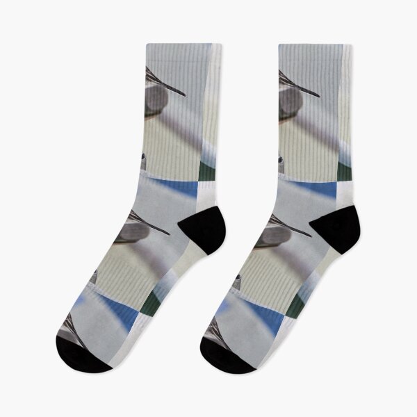 Item preview, Studying is learning. White wagtail designed and sold by Jouko Lehto Photography.