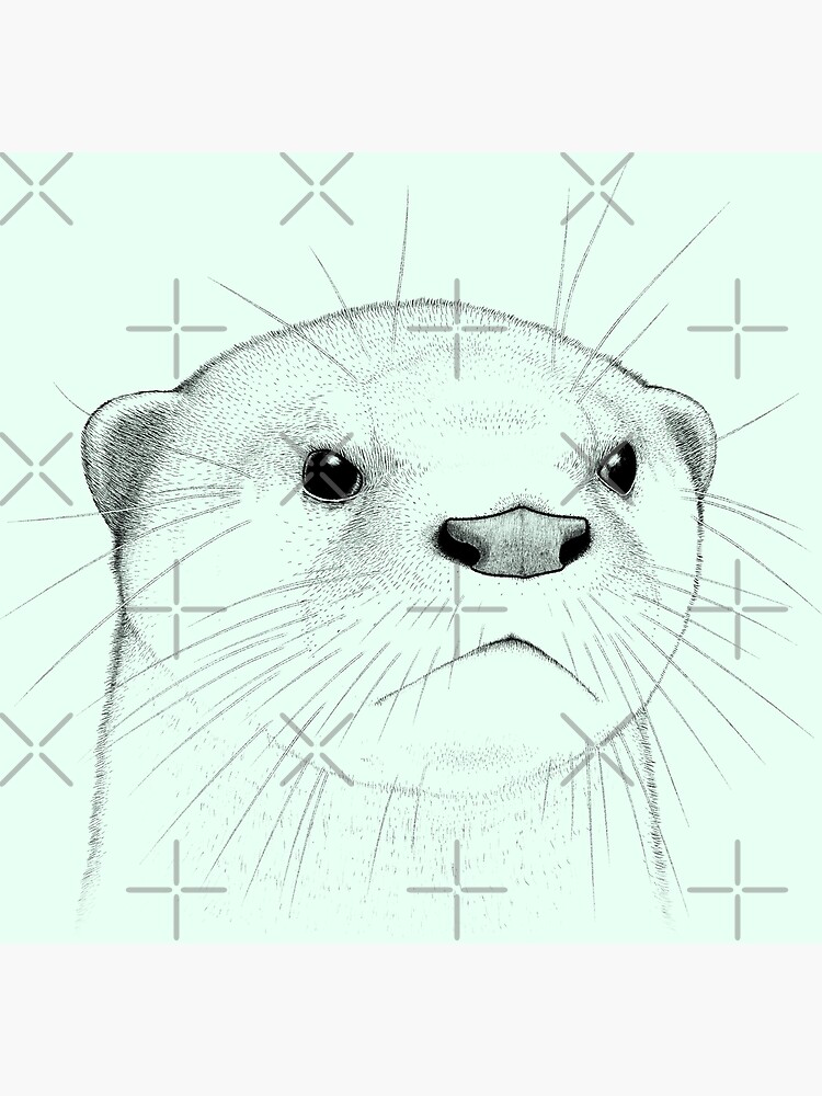 "Smooth Coated Otter Face" Art Print by OTTERFAMILY | Redbubble