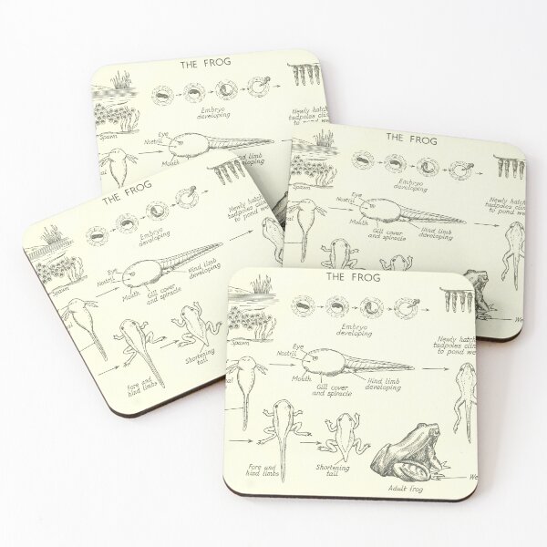 Item preview, The frog designed and sold by Mr-Filsell.