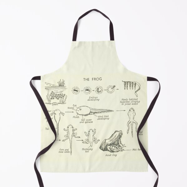 Item preview, The frog designed and sold by Mr-Filsell.