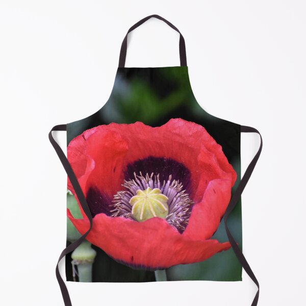 Item preview, Single Poppy Photograph designed and sold by Meggie-moos.