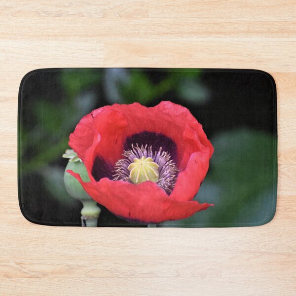 Item preview, Single Poppy Photograph designed and sold by Meggie-moos.