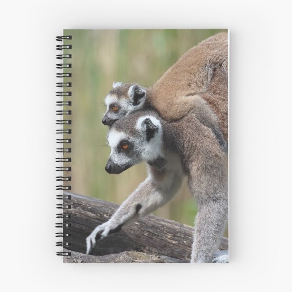 Item preview, Ring-tailed Lemurs designed and sold by Mythos57.