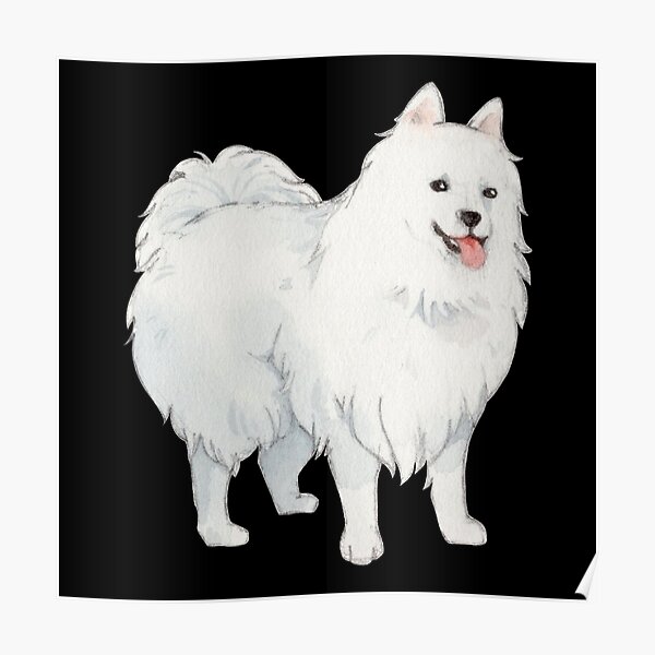 Japanese Spitz Puppy Dog Poster By Elegantcat Redbubble