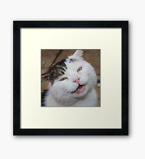 Butch Framed Print