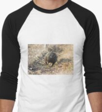 Barrelling Along Men's Baseball ¾ T-Shirt