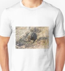 Barrelling Along Unisex T-Shirt