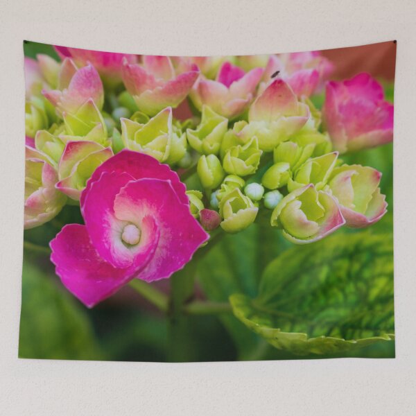 Item preview, Dazzling Blooming Hortensia designed and sold by AlinaSCorner.