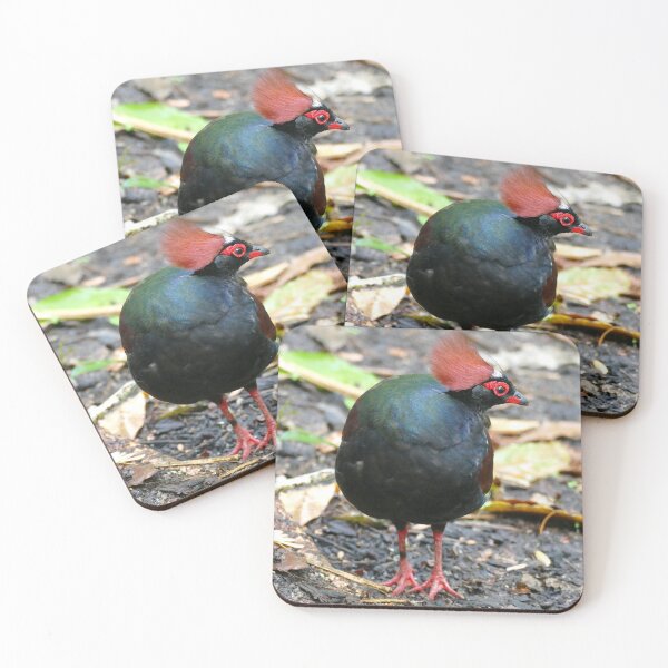 Item preview, Roul-Roul Bird designed and sold by Chris Petty.