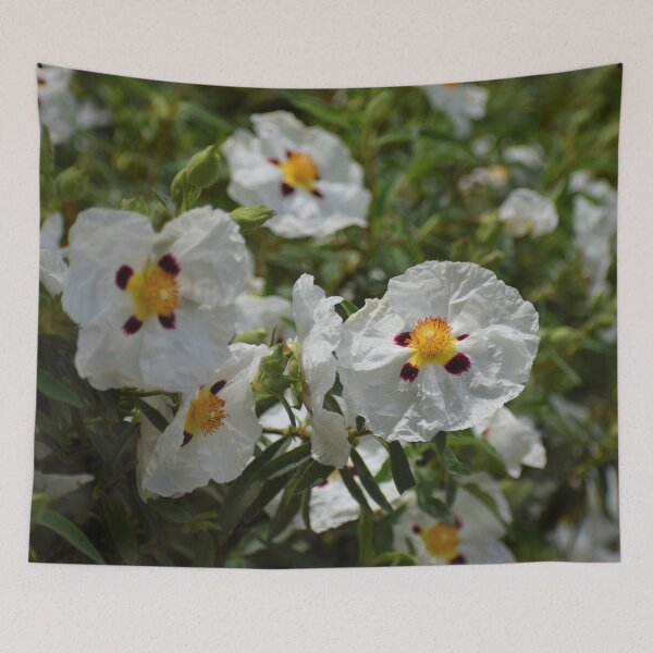 Item preview, Gum Rockrose  designed and sold by Meggie-moos.
