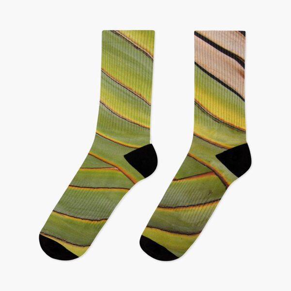 Item preview, Palm Leaf designed and sold by Laurasdesign83.