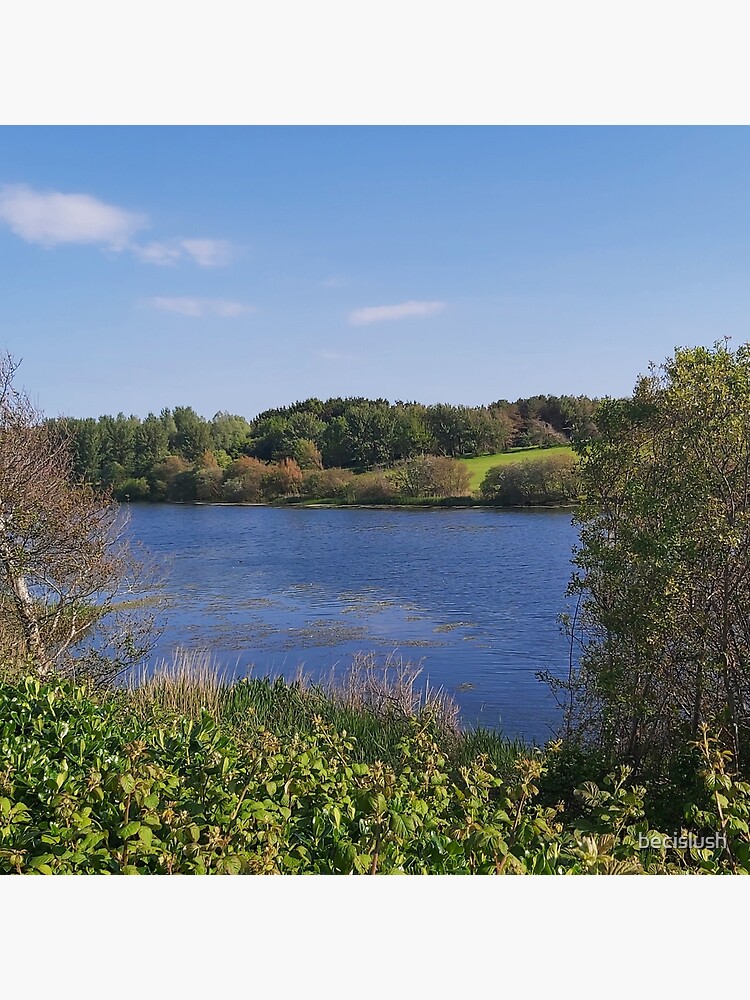 "Sandy Water Park" Poster for Sale by becislush Redbubble