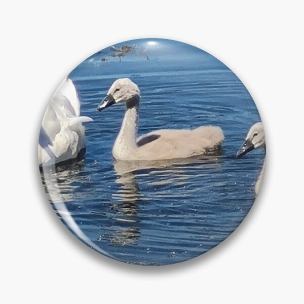 Item preview, Swan Family designed and sold by becislush.
