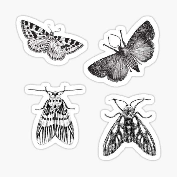 National Moth Week Sticker