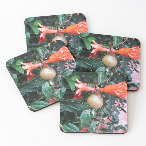Item preview, Pomegranate  designed and sold by Nikit Mansura.