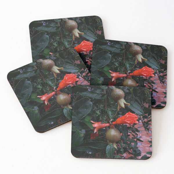 Item preview, Pomegranate   designed and sold by Nikit Mansura.