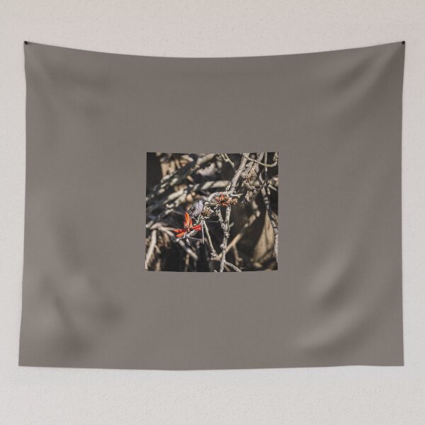 Item preview, The Wattlebird and the Coral Tree designed and sold by RGKphotos.
