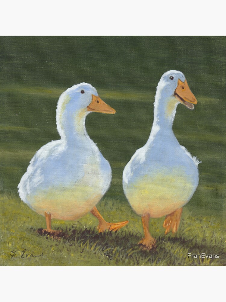 "Dancing Ducks" Sticker for Sale by FranEvans Redbubble