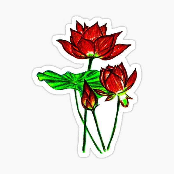 Lotus Flower Live Gifts Merchandise Redbubble