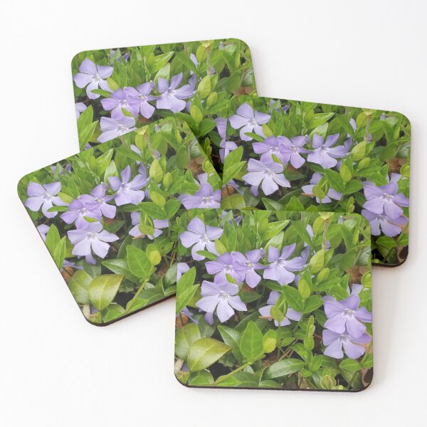 Item preview, Spring Has Sprung designed and sold by Nikkis-M-C.