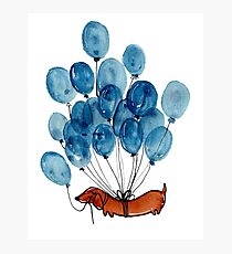 Dachshund dog and balloons Photographic Print