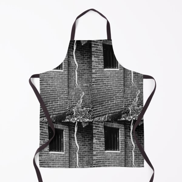 Item preview, Brick Wall with Iron Bars In Window Acorn Street Boston Massachusetts designed and sold by Stephen Orsillo.