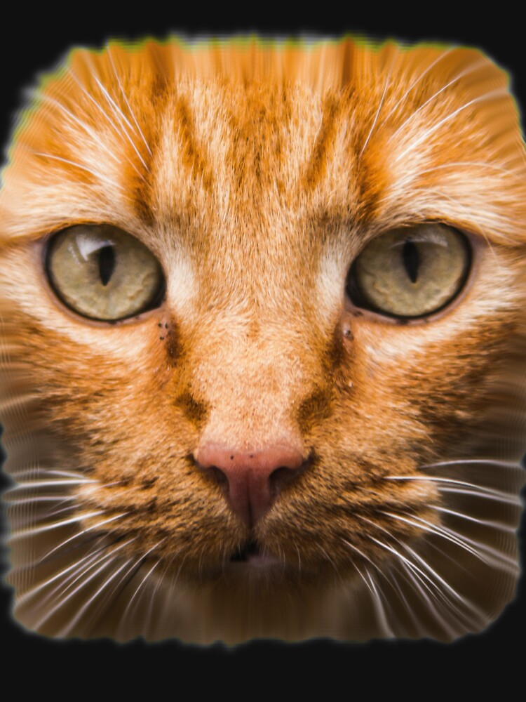 "GTA 5 cat shirt (I'm Not a Hipster)" Tshirt for Sale by PitadorBoy