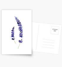 Lavender Postcards