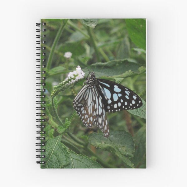 Item preview, Paper Kite Butterfly on a White Flower designed and sold by robinsegg.