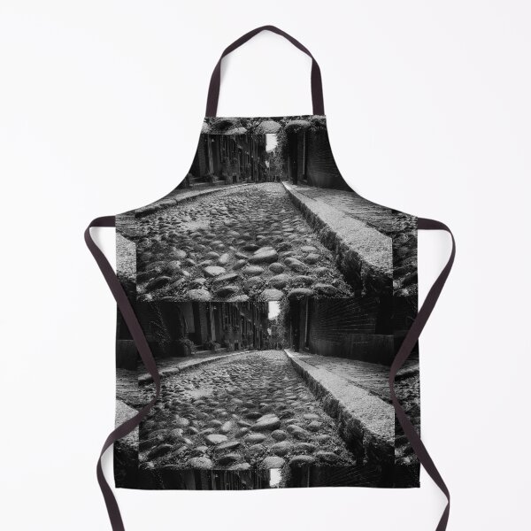 Item preview, Childs Eye View of Acorn Street Beacon Hill Boston Massachusetts designed and sold by Stephen Orsillo.