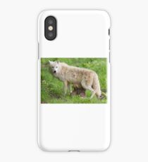 Arctic wolf feeding pups iPhone Case