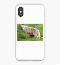 Arctic wolf feeding pups iPhone Case