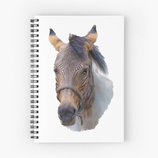 Item preview, zebroid, half zebra, half horse designed and sold by OskiOnTour.