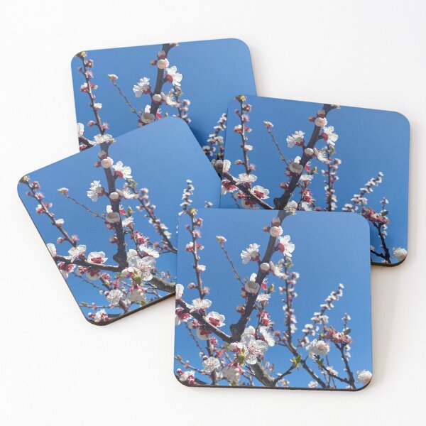 Item preview, Spring designed and sold by christyap.