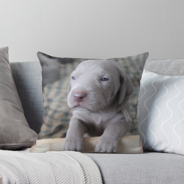 Item preview, Weim baby designed and sold by NorkeyArt.